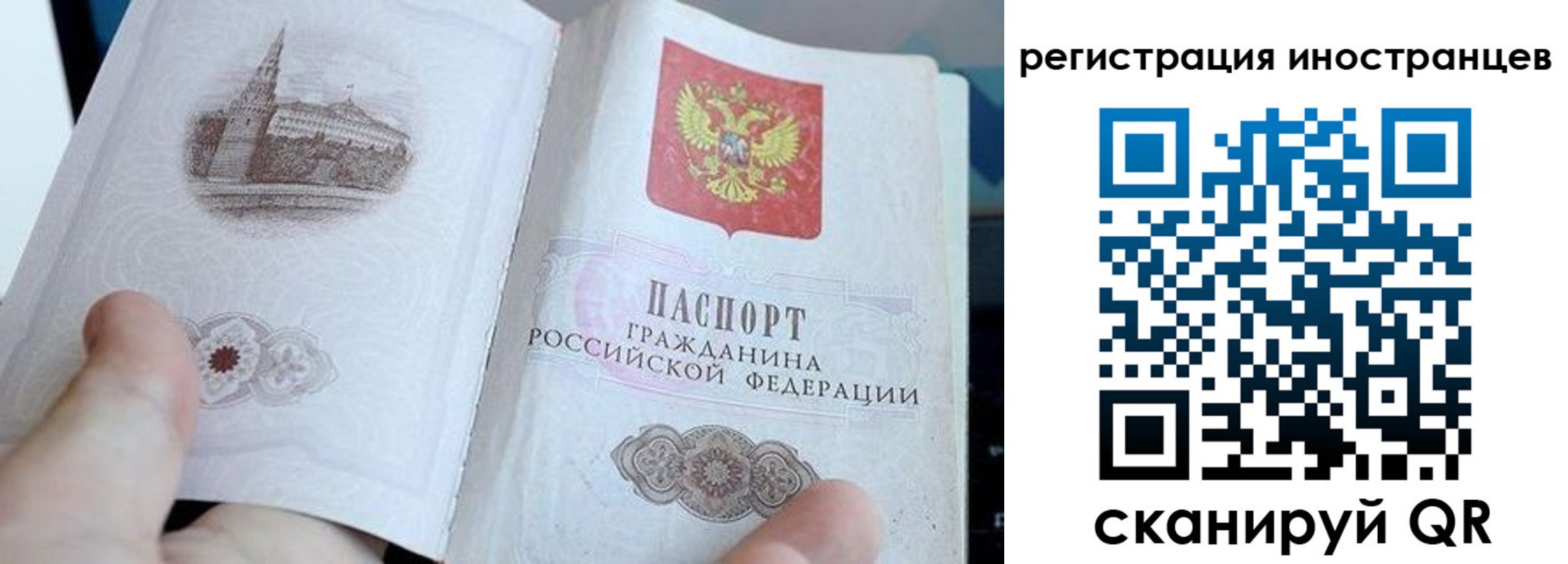 прописка законно в Россоши